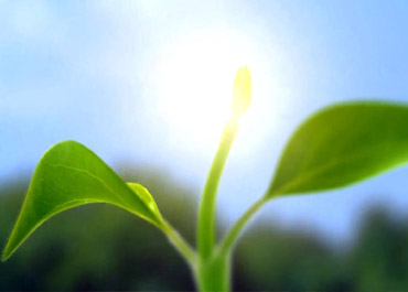 美景化學與中科院能源所相關專家商談酶化學以及生物酶在農(nóng)藥合成中的應用前景